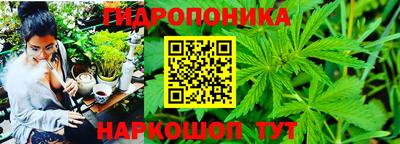 a pvp Жуковский