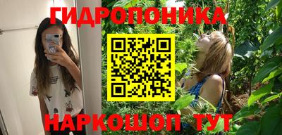 СК Заводоуковск