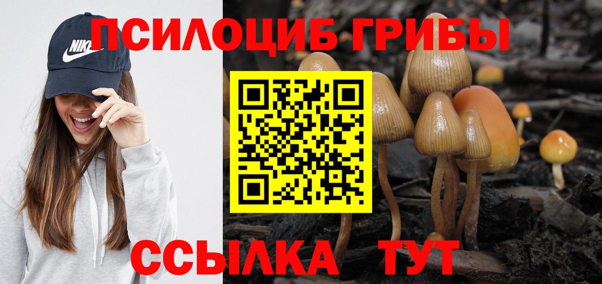 Мурино  Галлюциногенные грибы прущие грибы  Вход с VPN  Галлюциногенные грибы GOLDEN TEACHER 